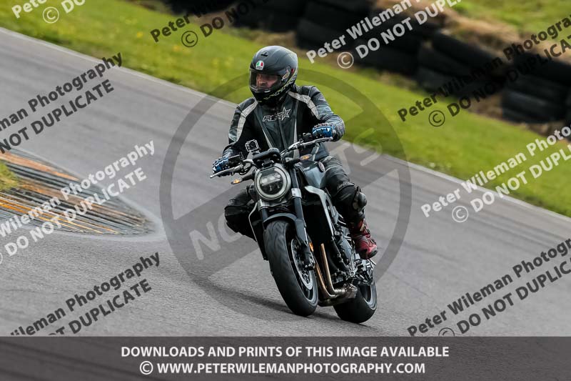 PJ Motorsport 2019;anglesey no limits trackday;anglesey photographs;anglesey trackday photographs;enduro digital images;event digital images;eventdigitalimages;no limits trackdays;peter wileman photography;racing digital images;trac mon;trackday digital images;trackday photos;ty croes